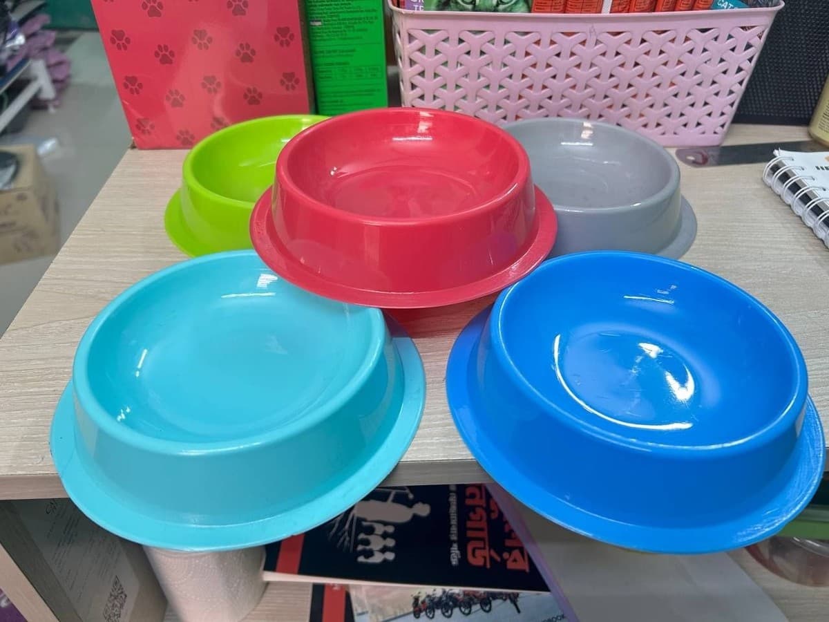 Regular Plastic Cat Food Bowl