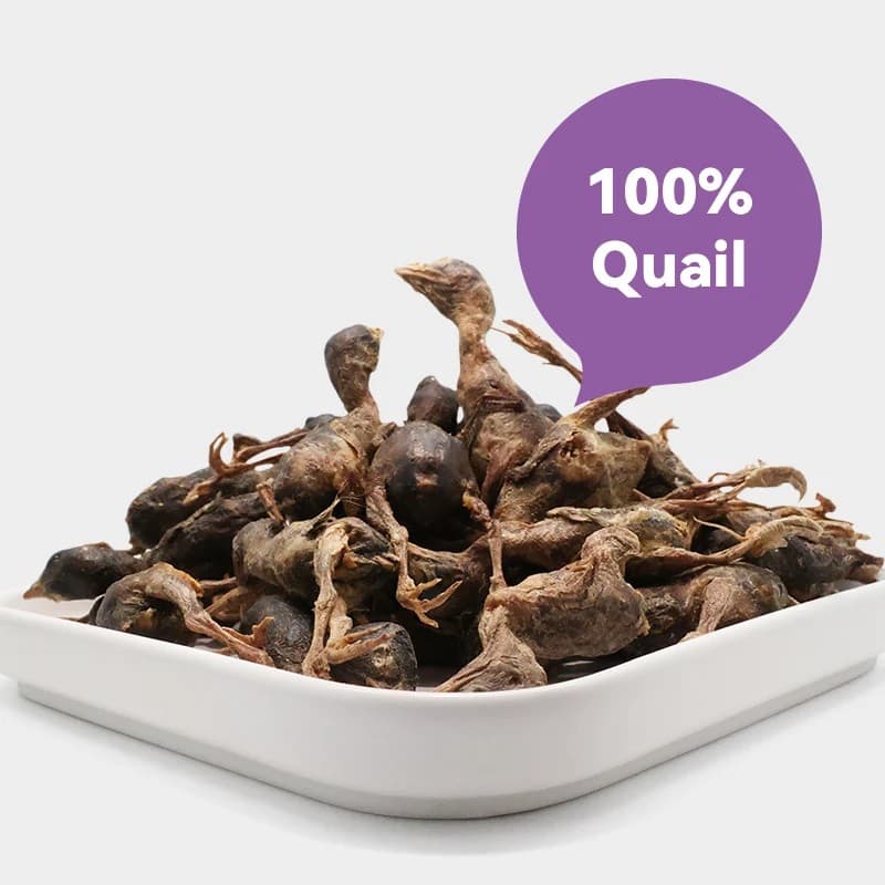 Freeze Dried Whole Prey Quail Chicks for Cats, Dogs, & Ferrets - Whole Feathered Quail Treats - Single Ingredient Dry Treat 20 gm