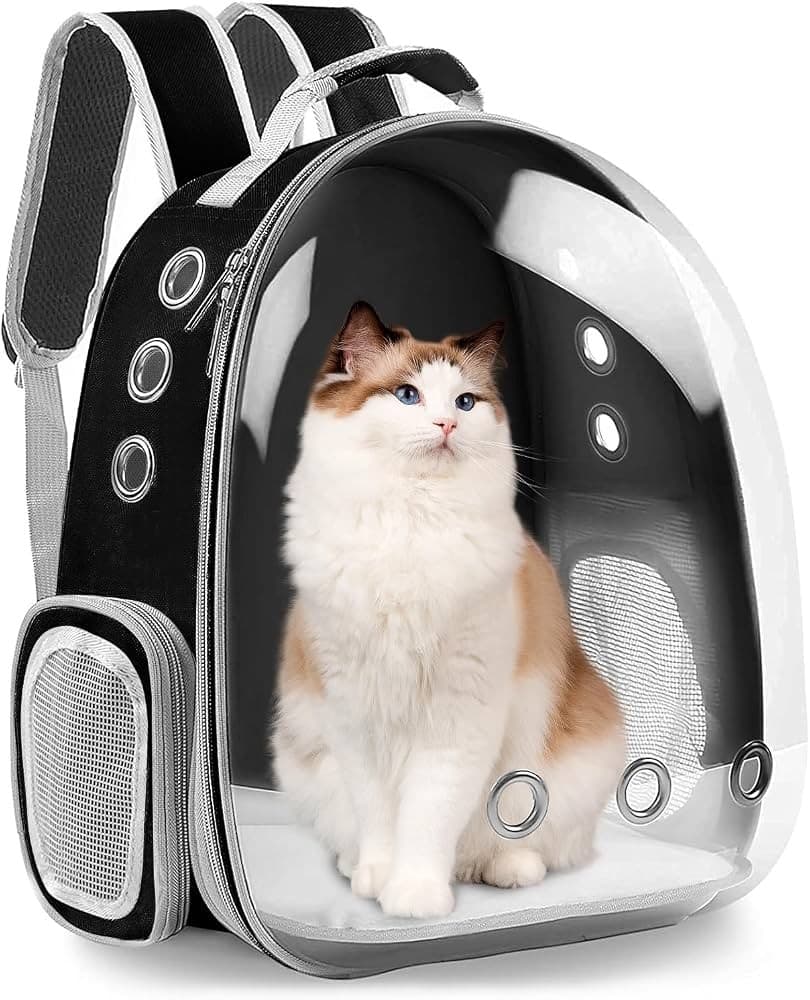 Transparent Cat Carrier Backpack Solid Color - Black