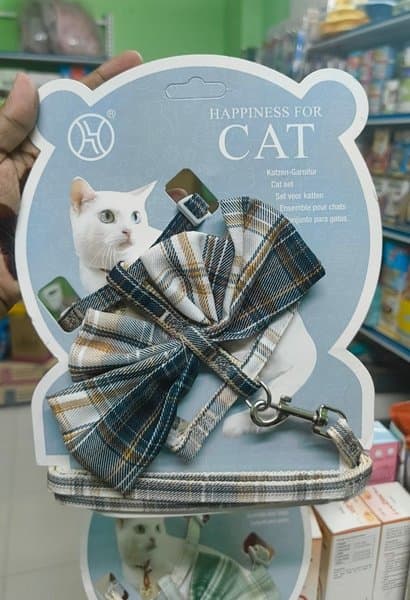 Cat Dress Like Bow Harness & Leash Set