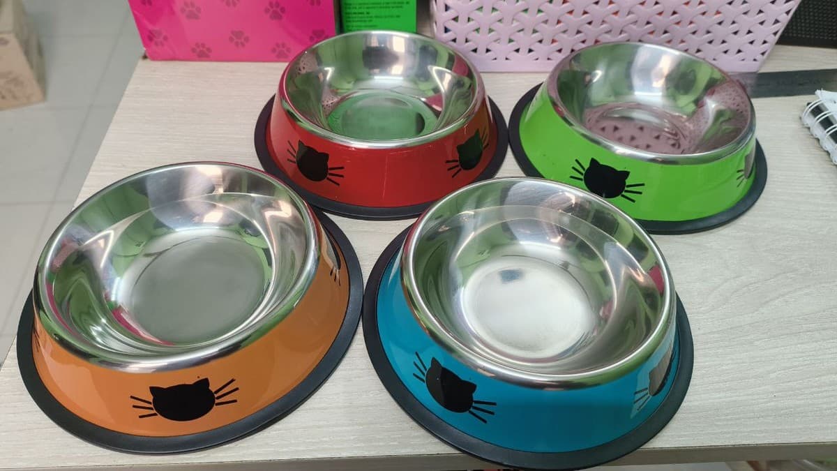 Food Bowl with Stainless Steel (Meow Printed)