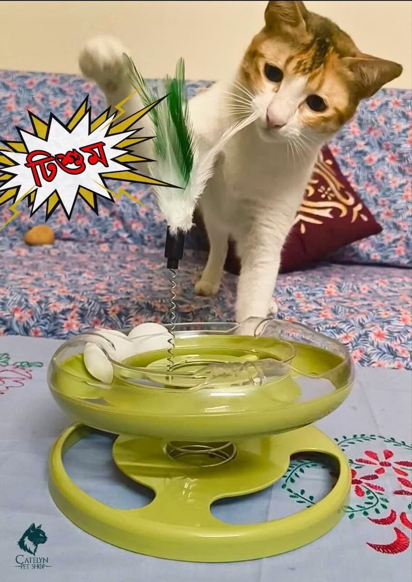 Spring Tower Teaser Toy with Feather