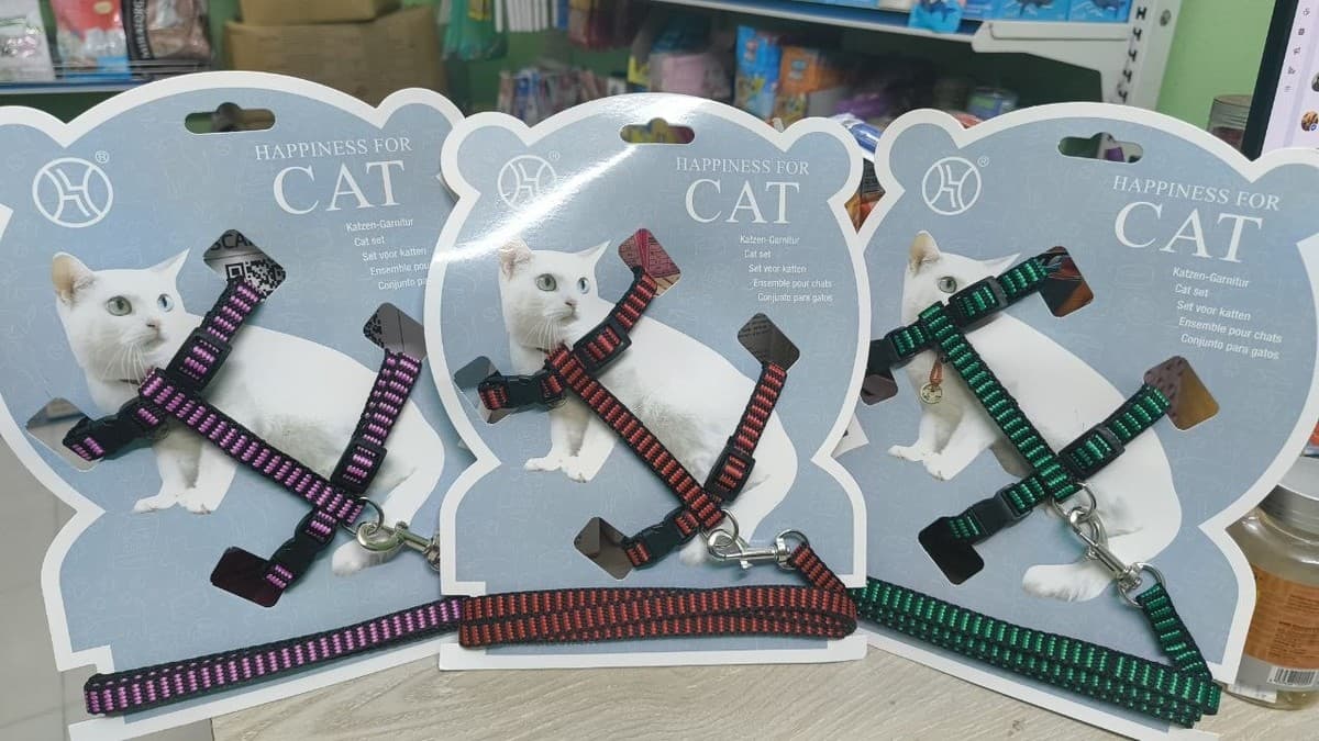 Cat Plain Harness and Least Set Striped