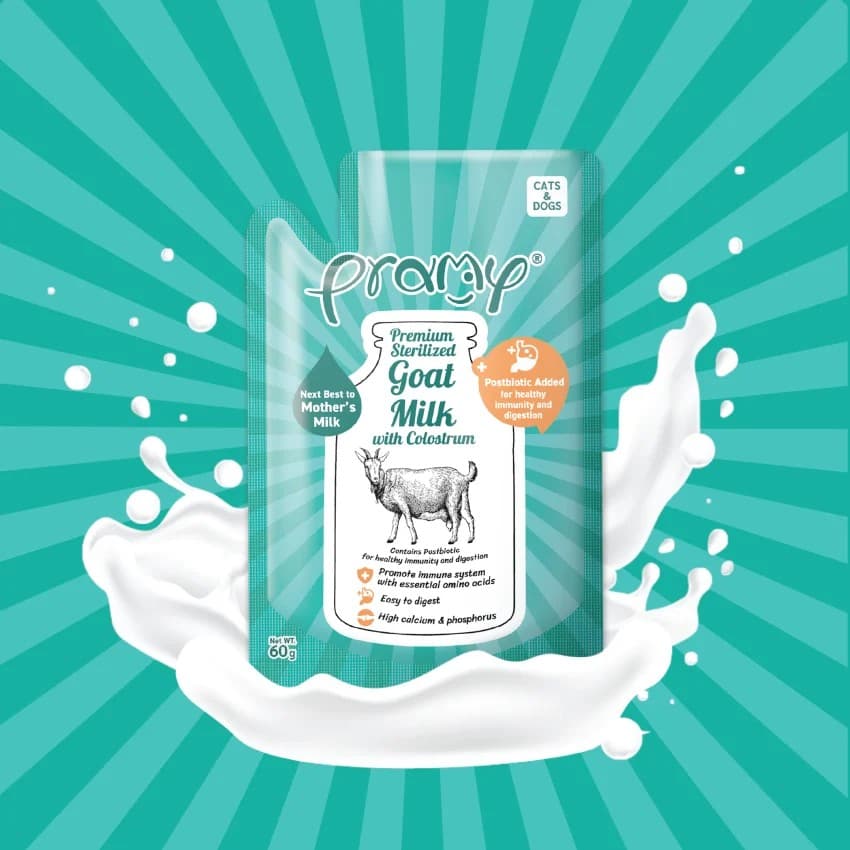 Pramy Premium Goat Milk with Colostrum & Postbiotic for Cats & Dogs 60 gm