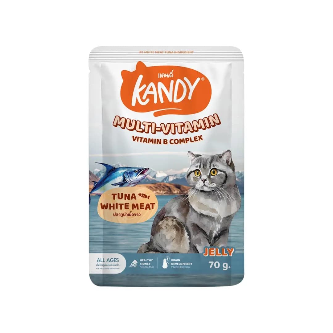 Kandy Cat Wet Food Multi-Vitamin Formula 70 gm