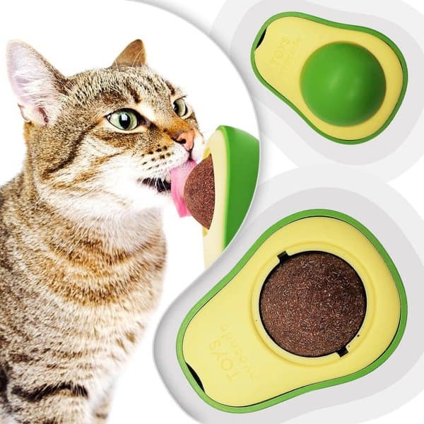 Catnip Toy