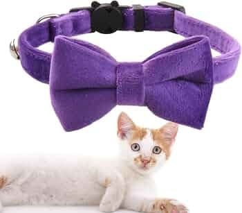 Velvet Cat Bow Collar (Purple)