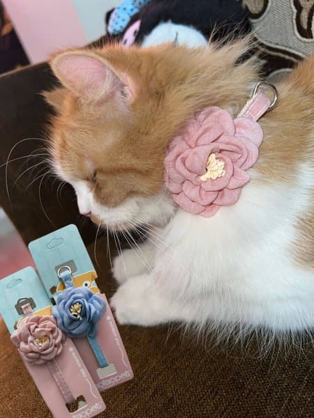 Febric Adjustable Rose Cat Collar Belt (Pink)