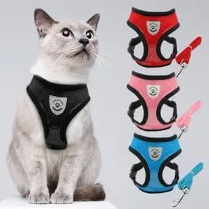 Cat Jacket Mesh Harness And Leash Set Puppy Cat Vest Harness