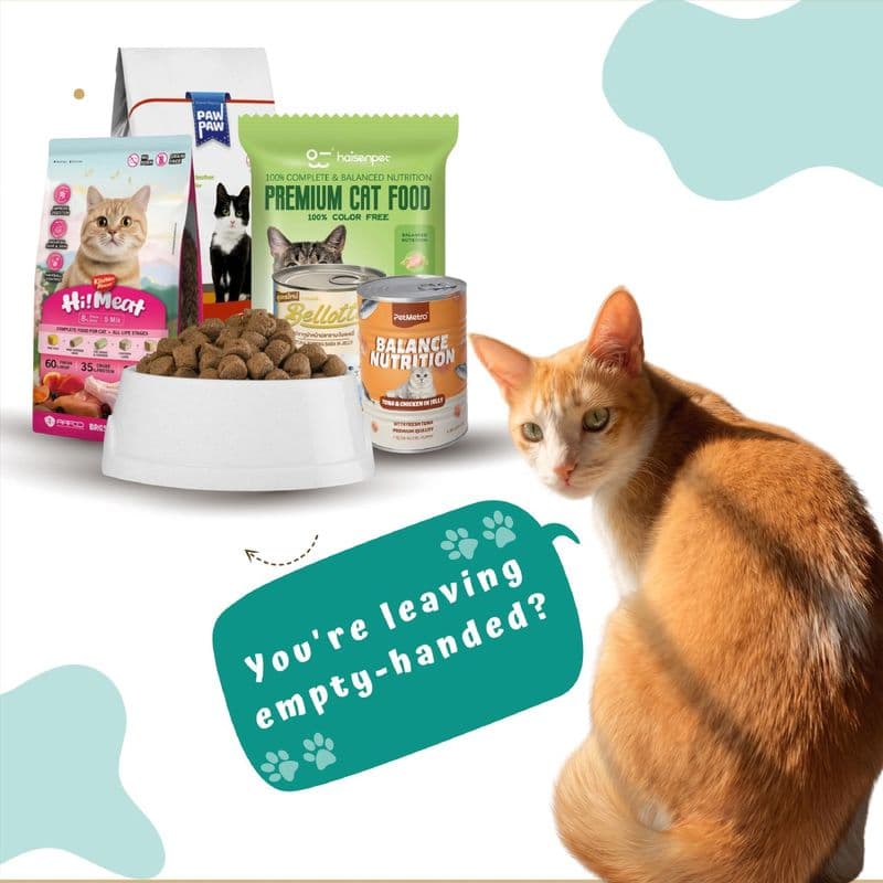 Happy cat with pet food
